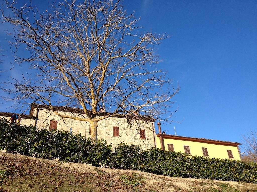 Agriturismo Cailuca Pietralunga  Buitenkant foto